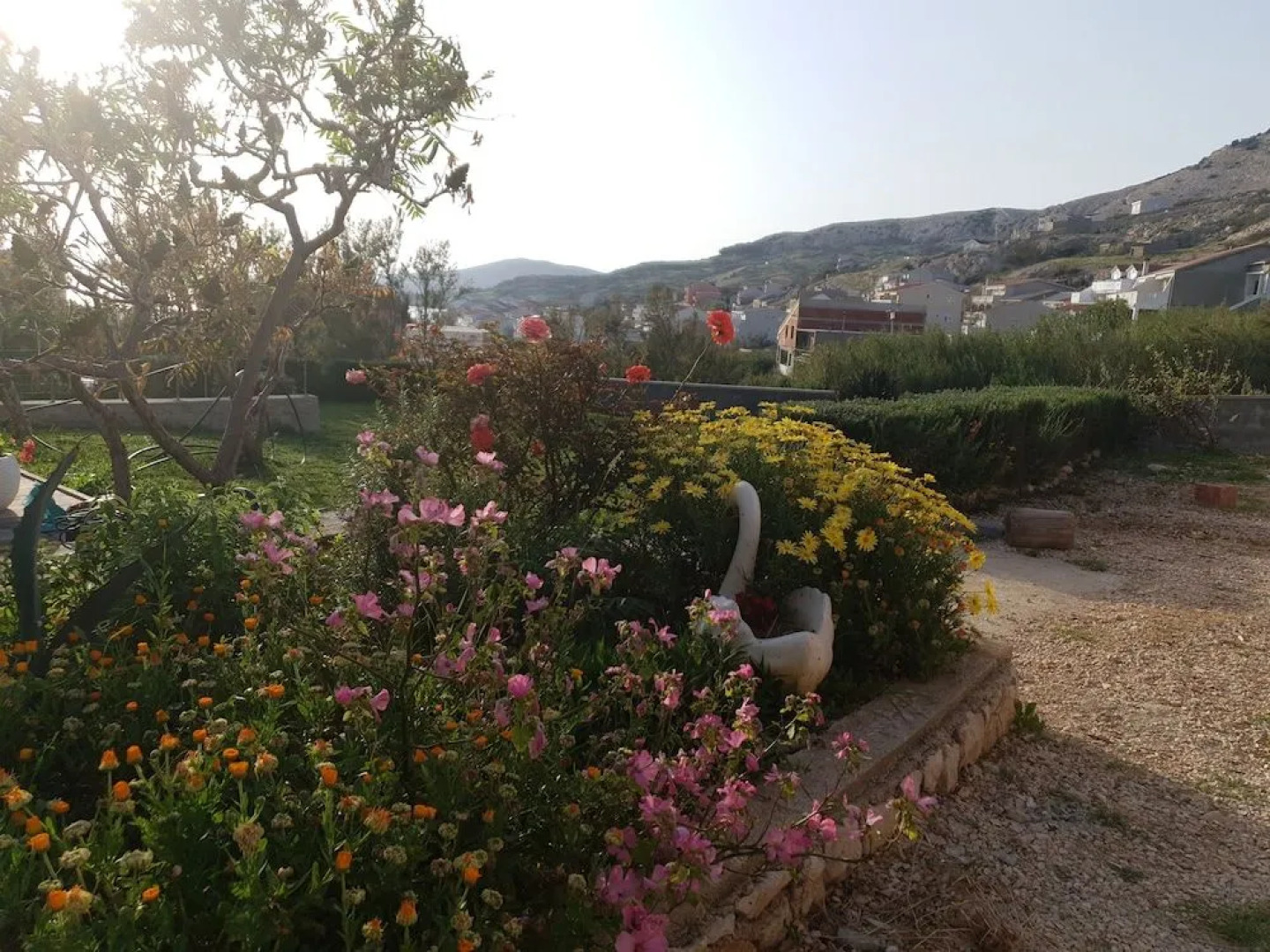 Apartments Dalmatinka Metajna Novalja