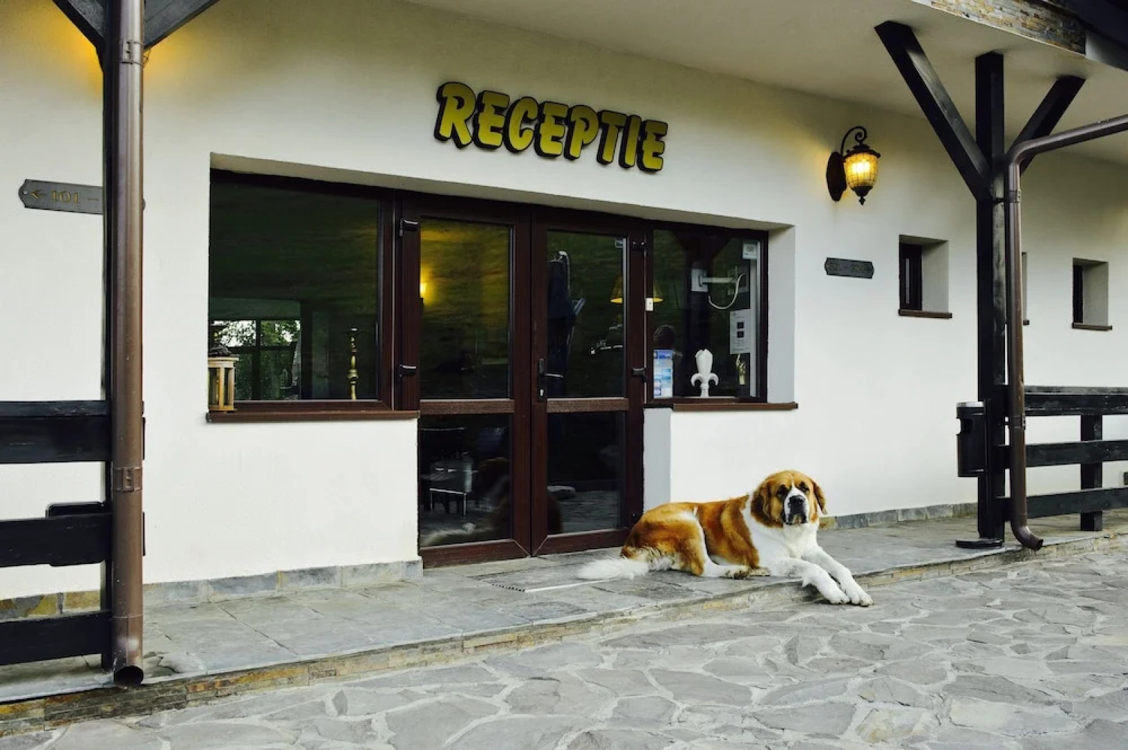 Hotel Contele Vladimir