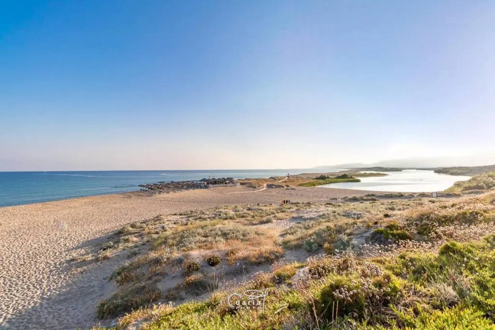 Welcomely - Dei Mille - La vigna 3