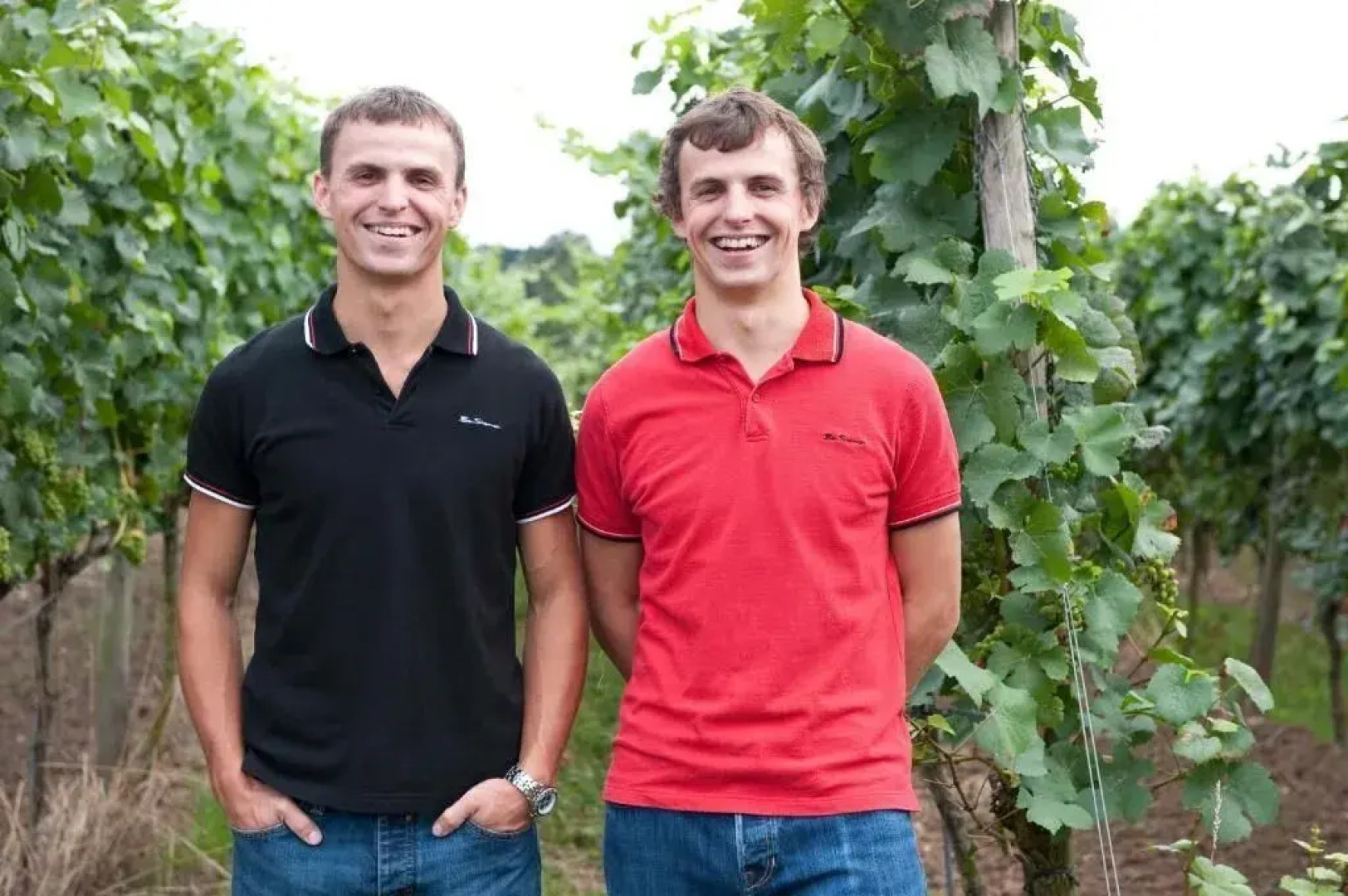 Weingut & Gästehaus Felshof