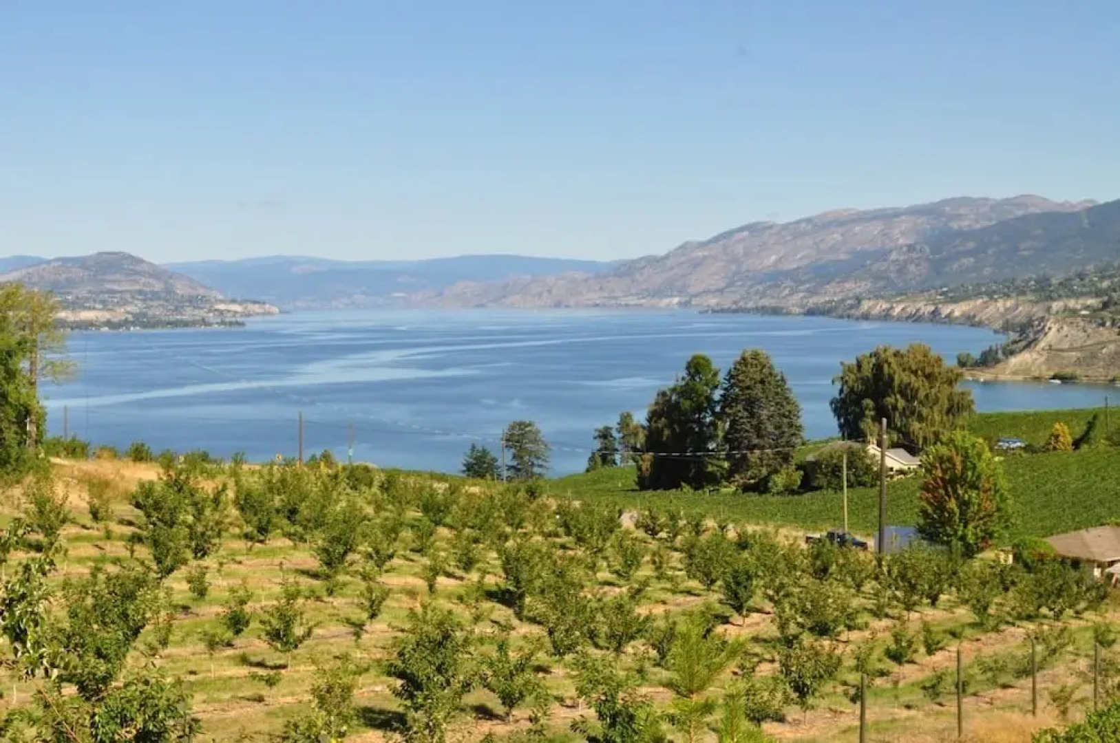 Serenata Guesthouse & Vineyard Retreat