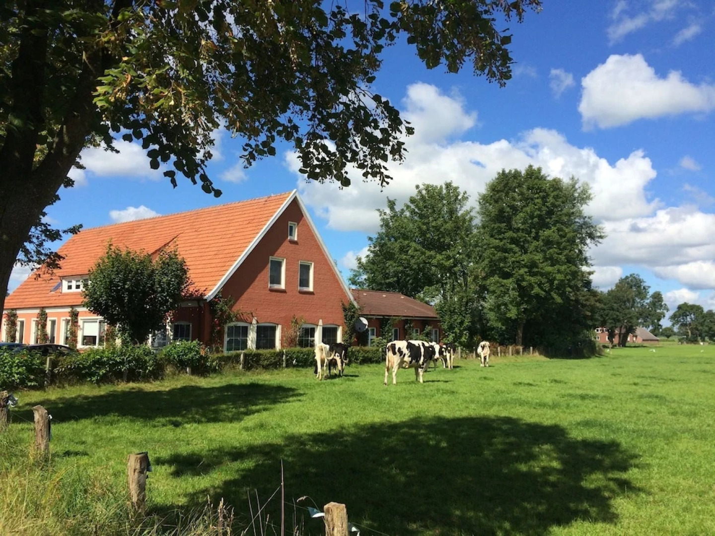 Opulent Holiday Home With Sauna, Jacuzzi & Playroom in Backemoor