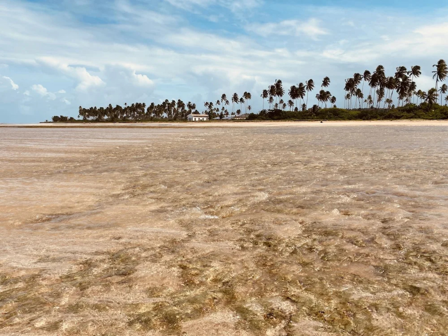 Villas Patacho - Milagres Ap 002 Bloco C