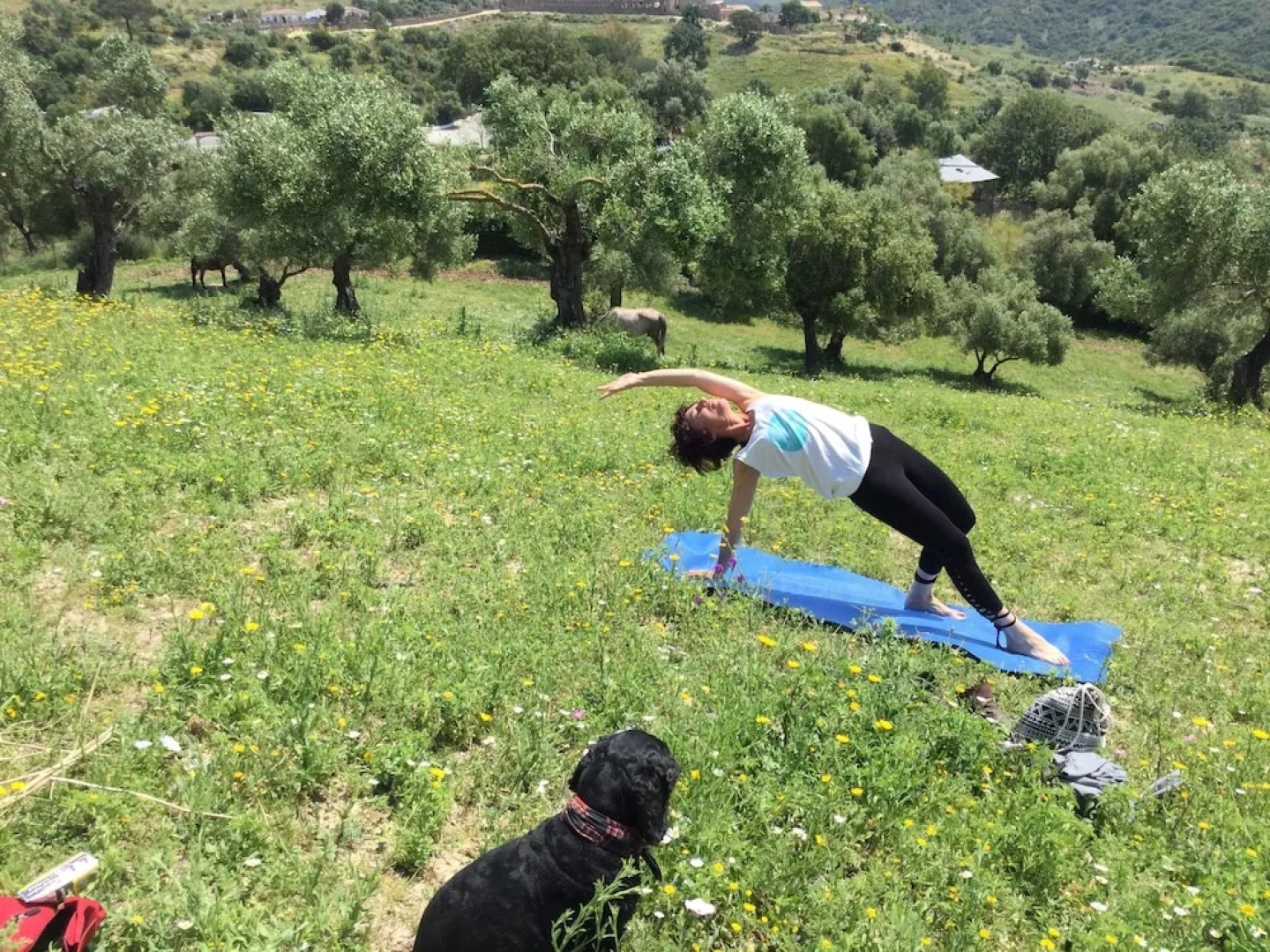 Cottage Cuernavaca Ranch