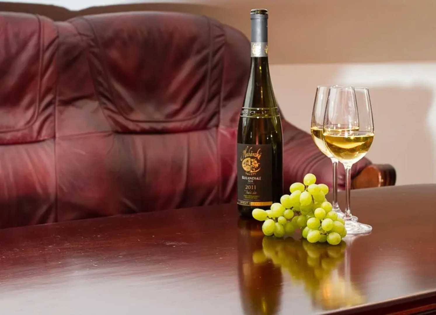 Zámecký penzion Kopeček