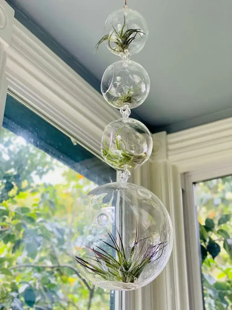 Victorian on Garden Best Location in Town