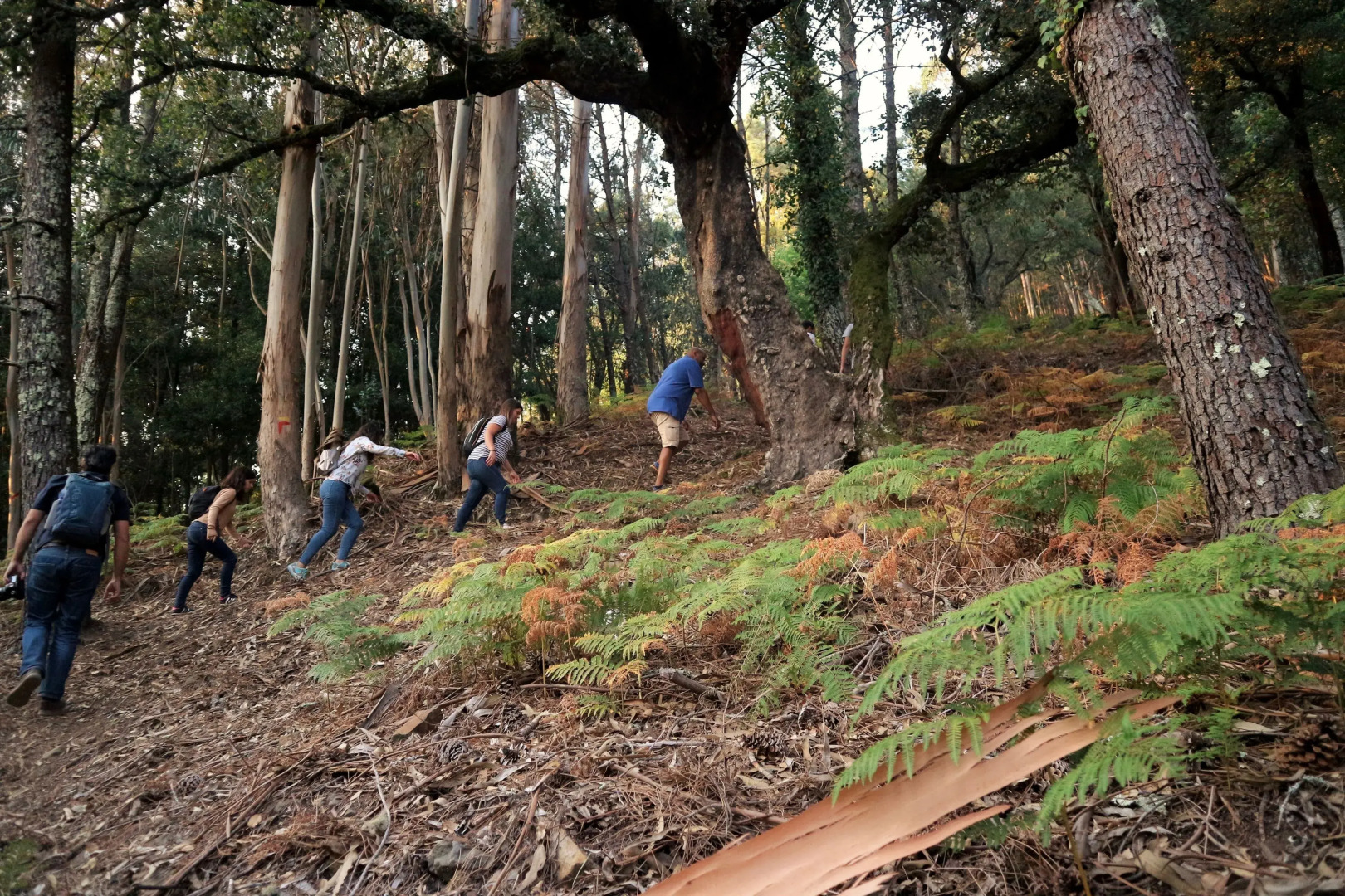 Cerdeira - Home for Creativity