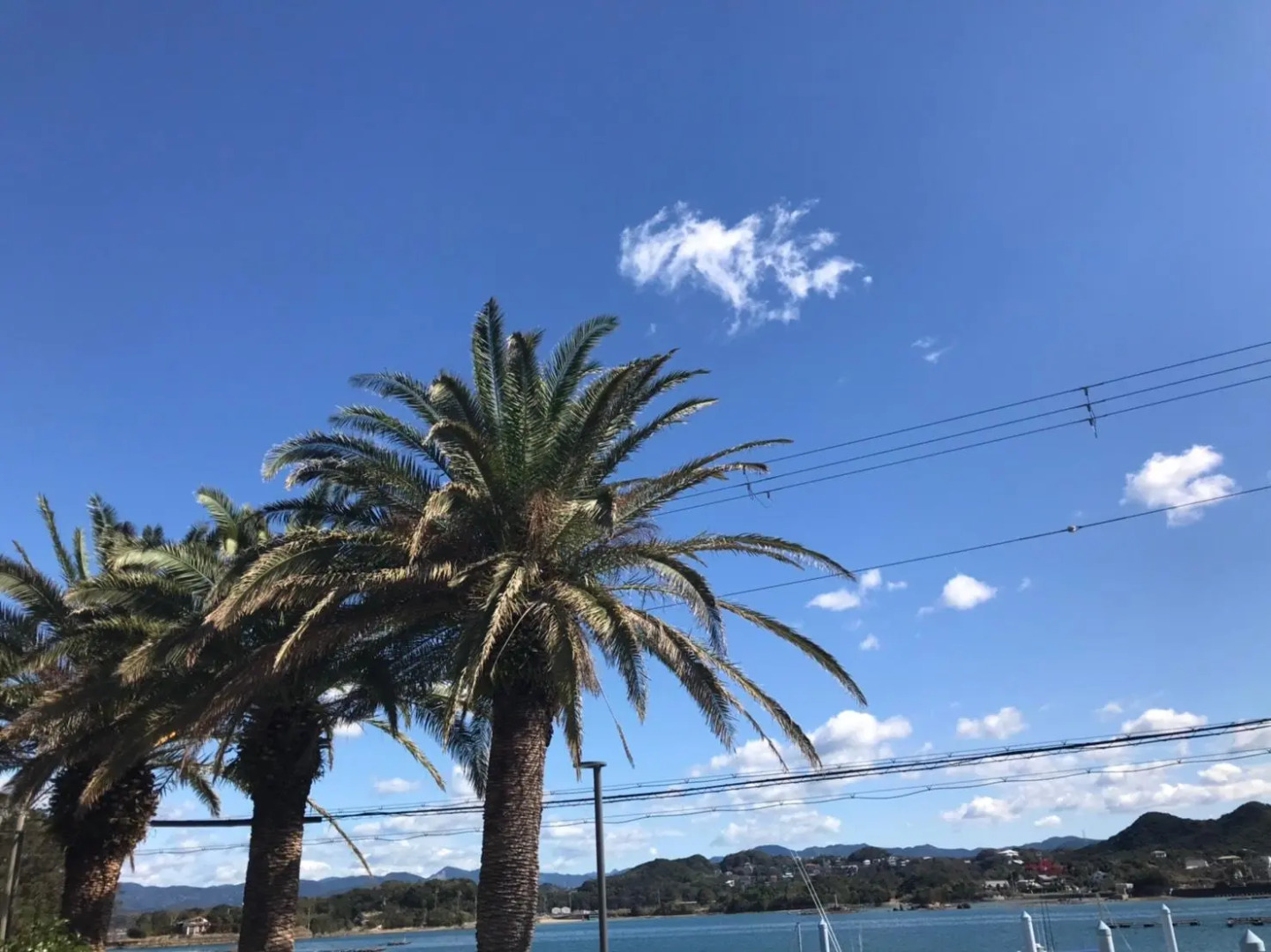 Shirahamayasuraginoyado tomarigi