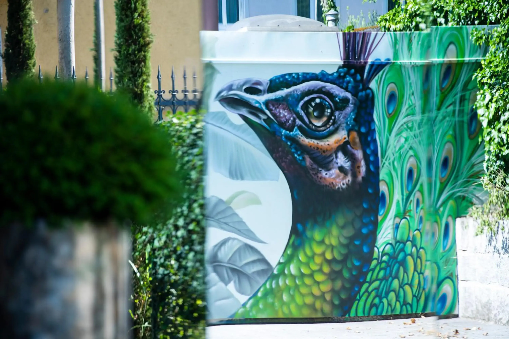 VILLA zeitlos - PfauenAuge