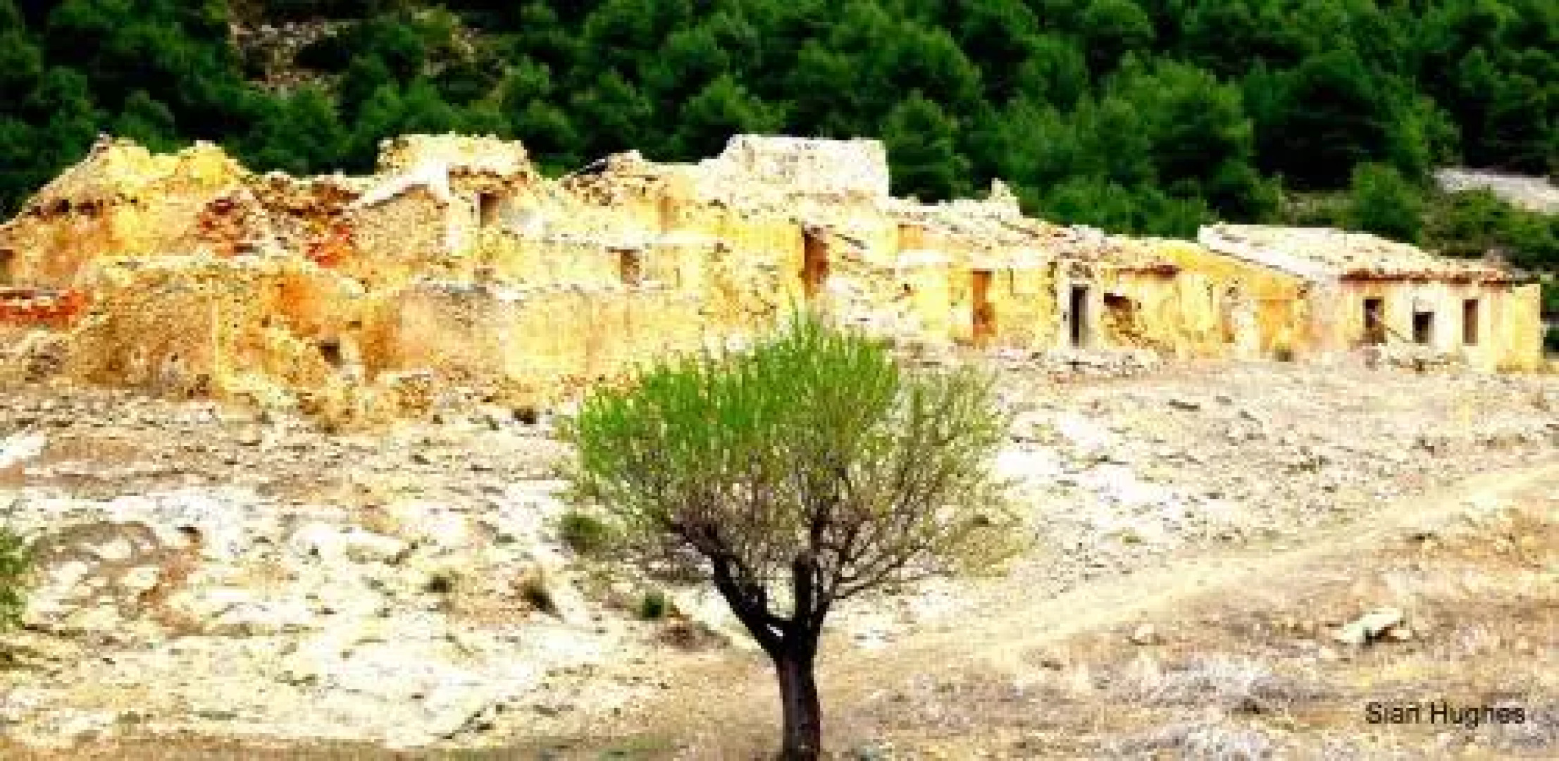 Camping Sierra Espuña