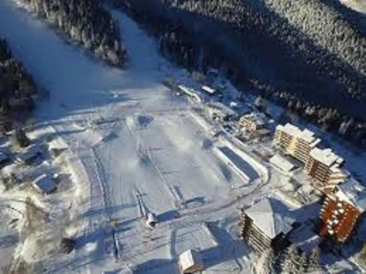 Un Isard au Pied des Pistes