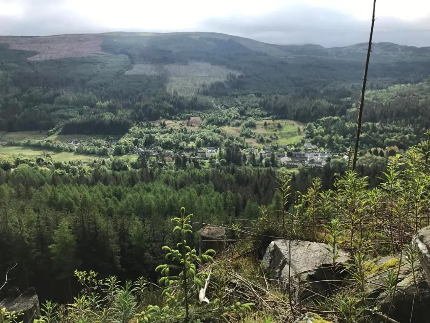 Rosebank House Bed & Breakfast