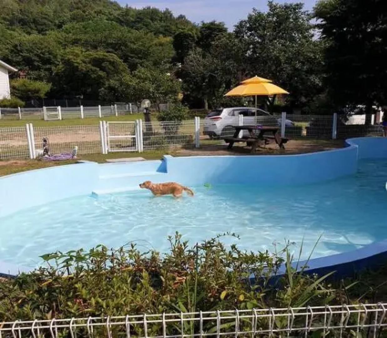 ceongdo weonderaegyeonpension