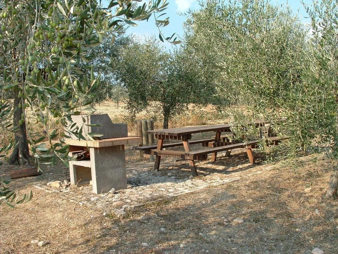 Castrum Normanno