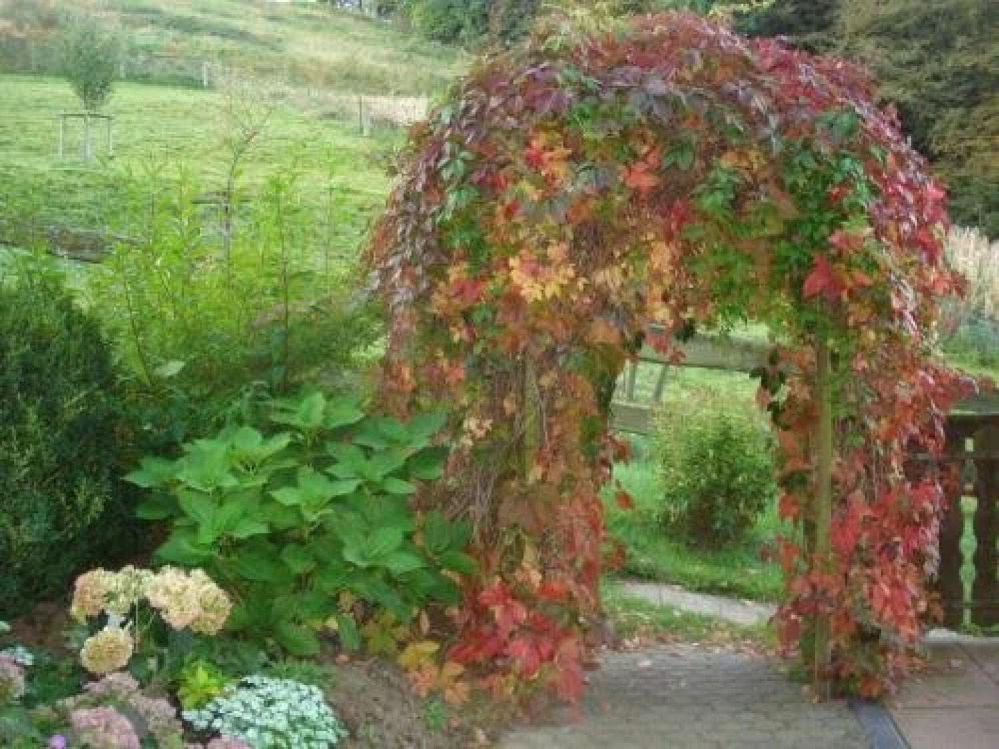 Pension Haus am Rothen Berg