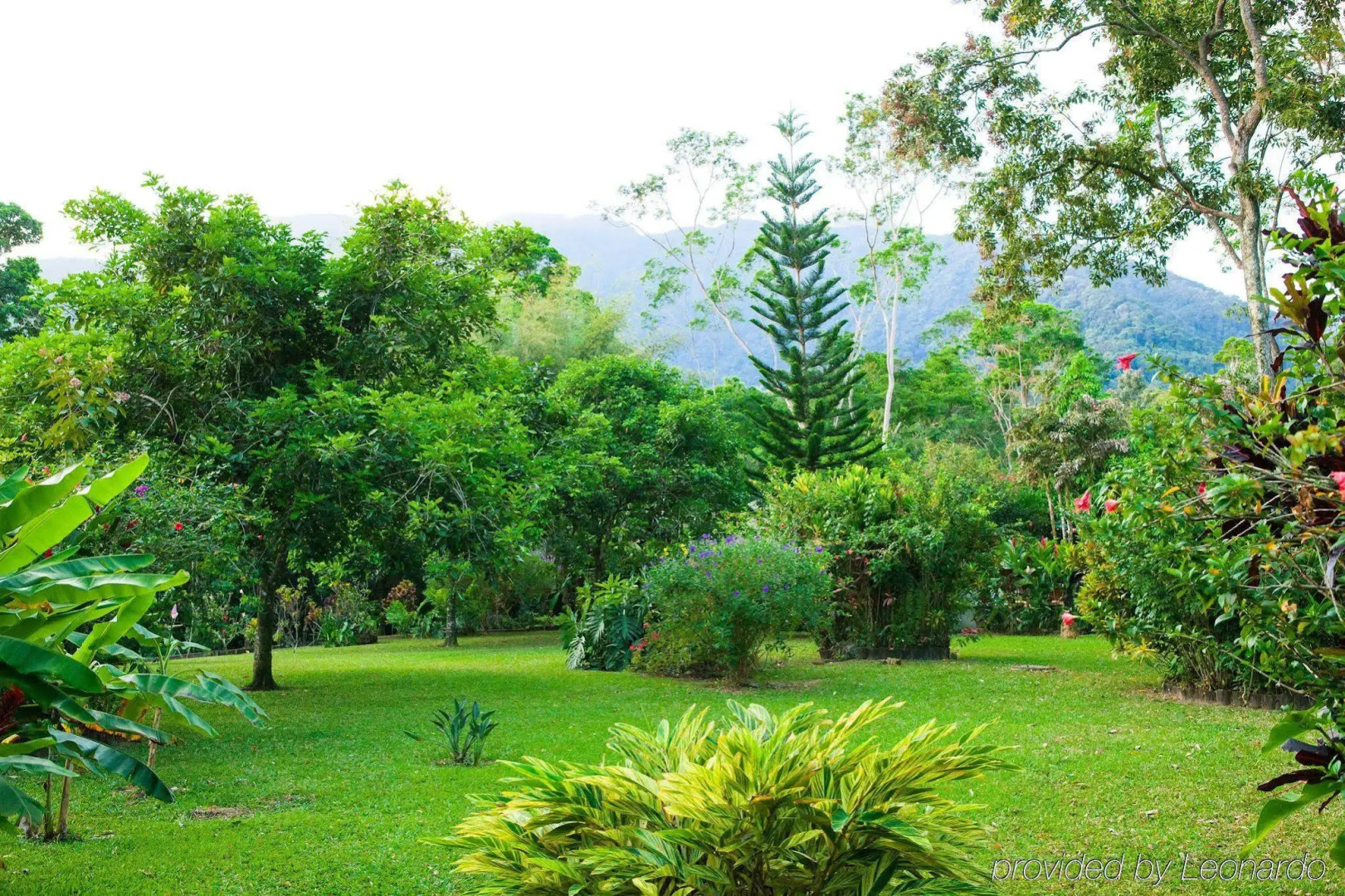 The Lodge at Pico Bonito