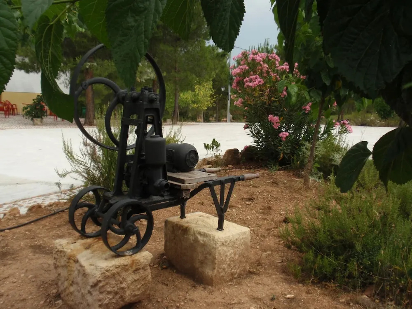 Casas Rurales El Cañar