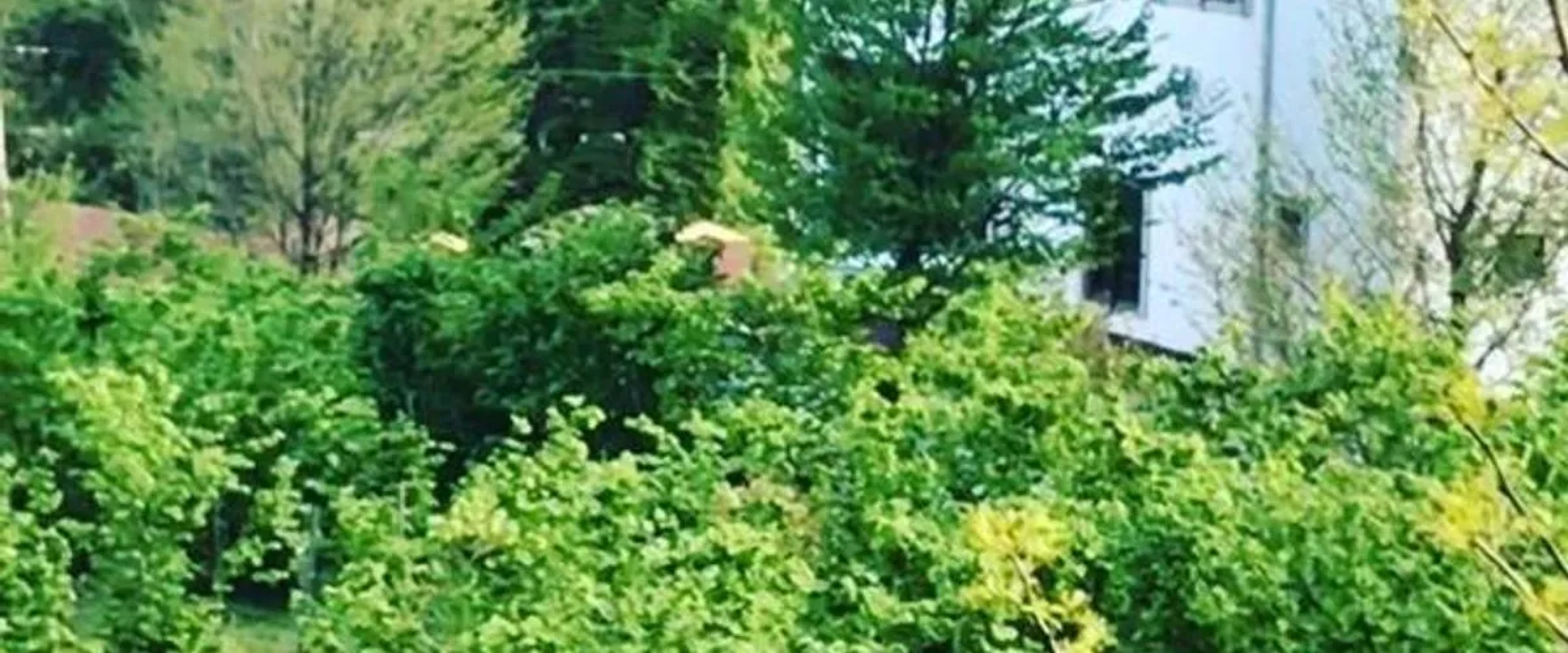 Zeynep Rüya Hatun Yeşildere Vadi Hotel