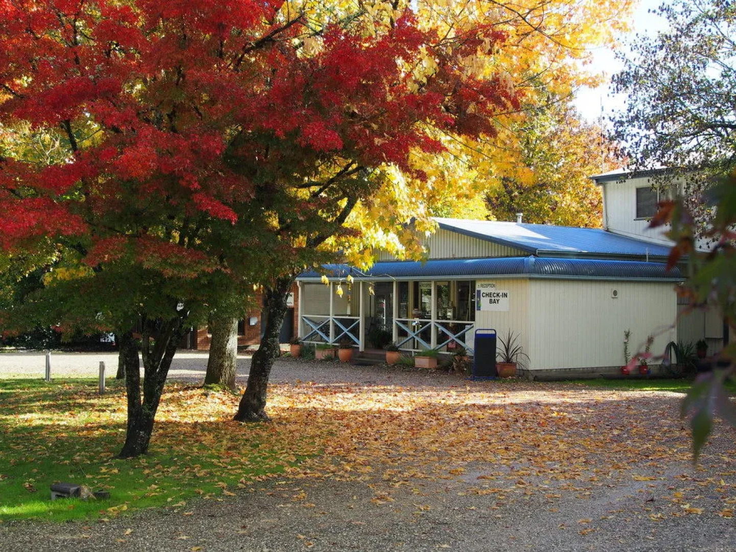 Porepunkah Pines Holiday Park