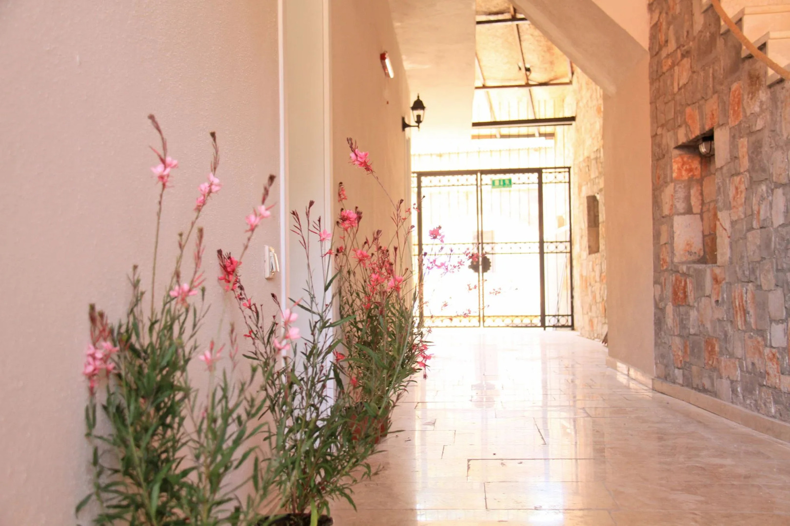 Lady Rose Boutique Pension