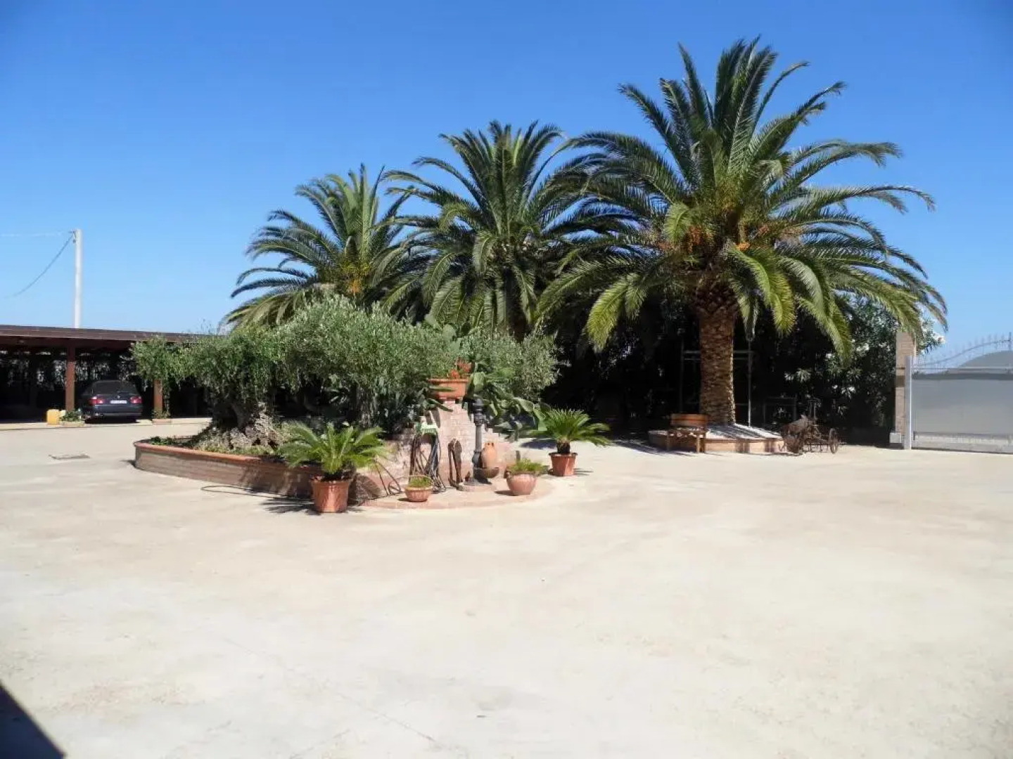 Le Palme Bed And Breakfast