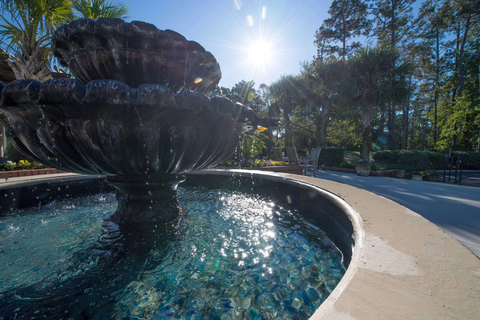 Ellington at Wachesaw East