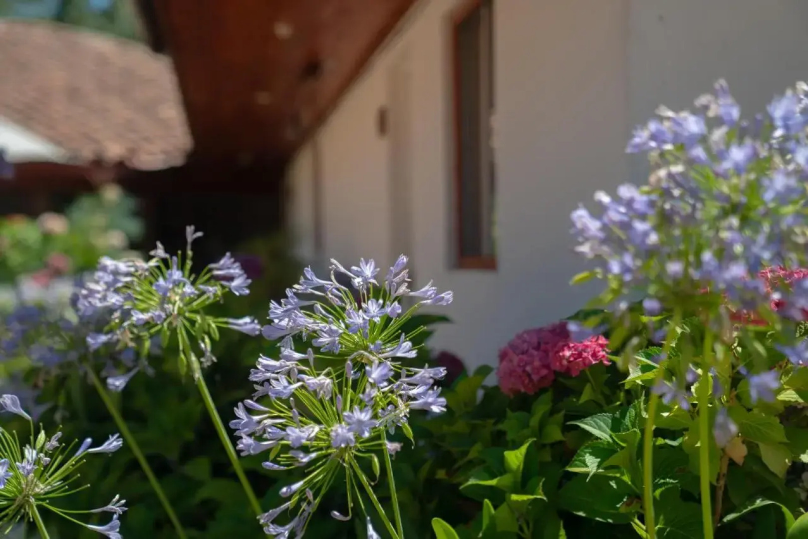 Hotel Santa Maria de Panimavida