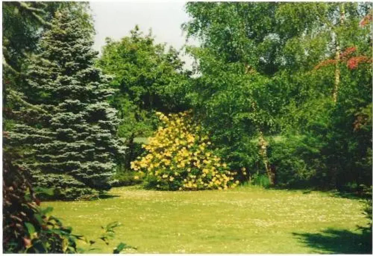 Gästehaus Hankhausen