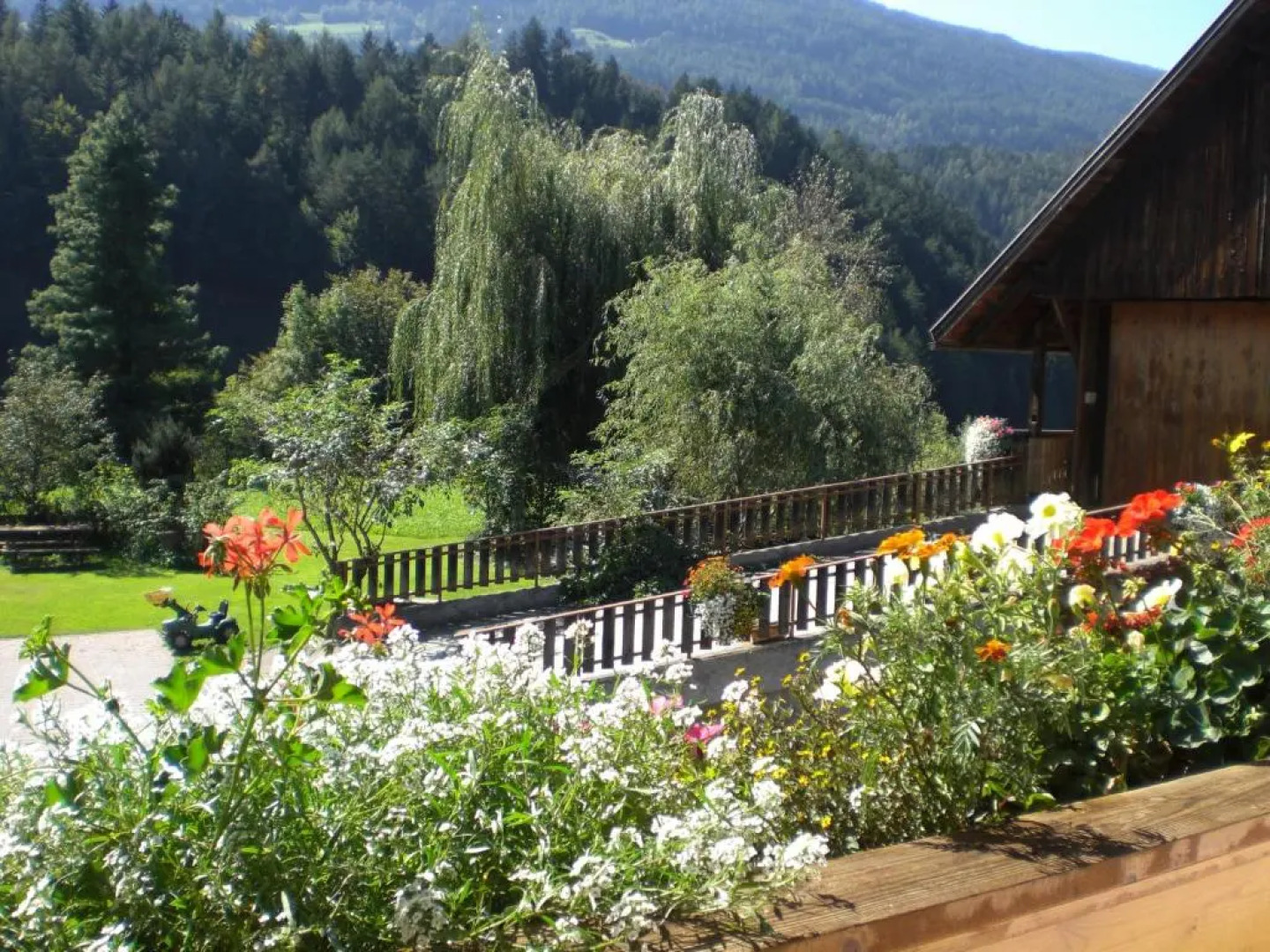 Haus Ploner - Pichlerhof