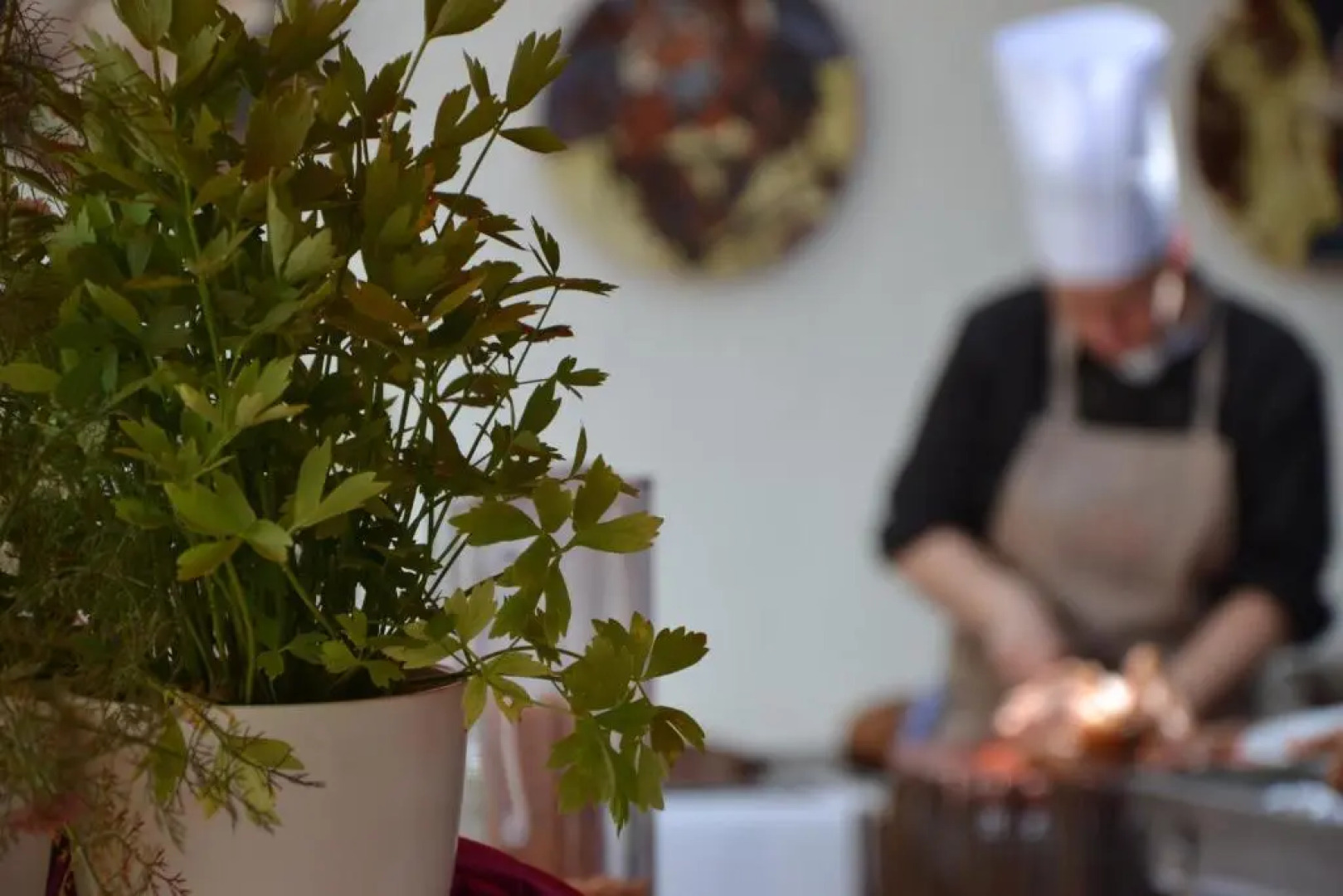 Cph Parkhotel Wolfsburg