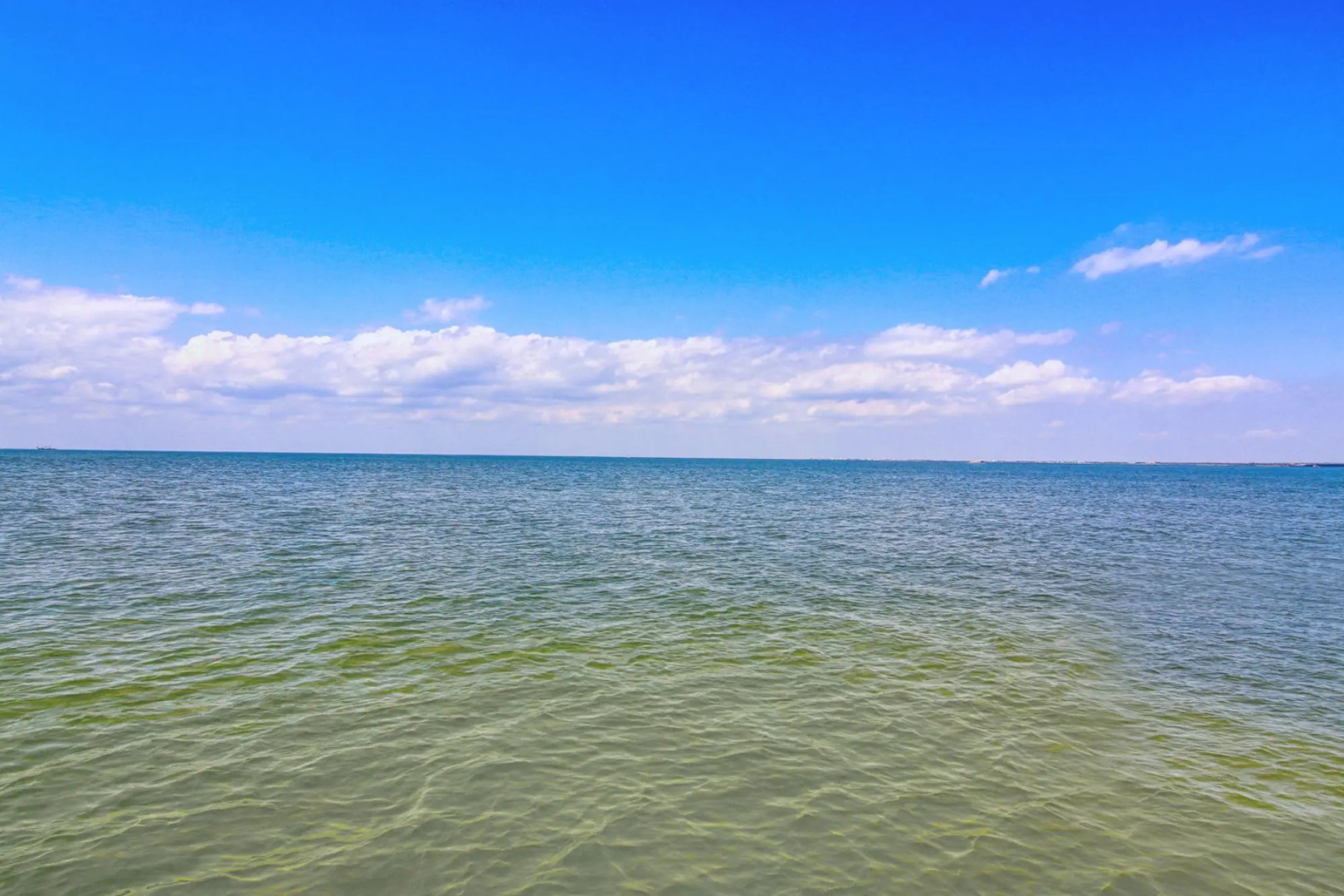 Muizenberg      6031RPB