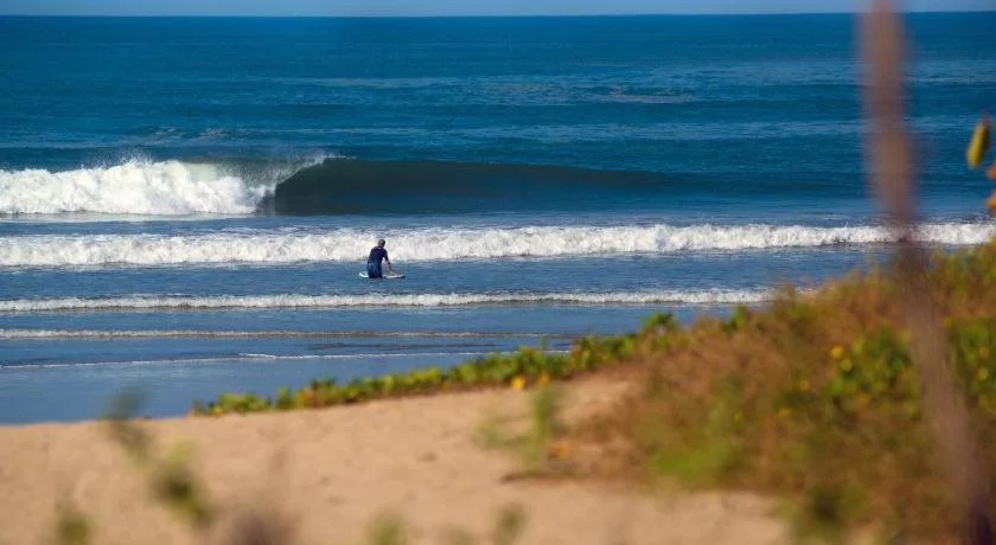 The Buena Vibra Collective