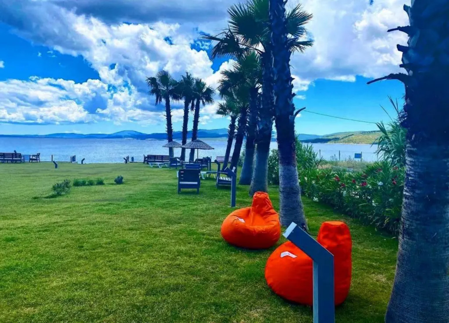 Olive Beach Residence