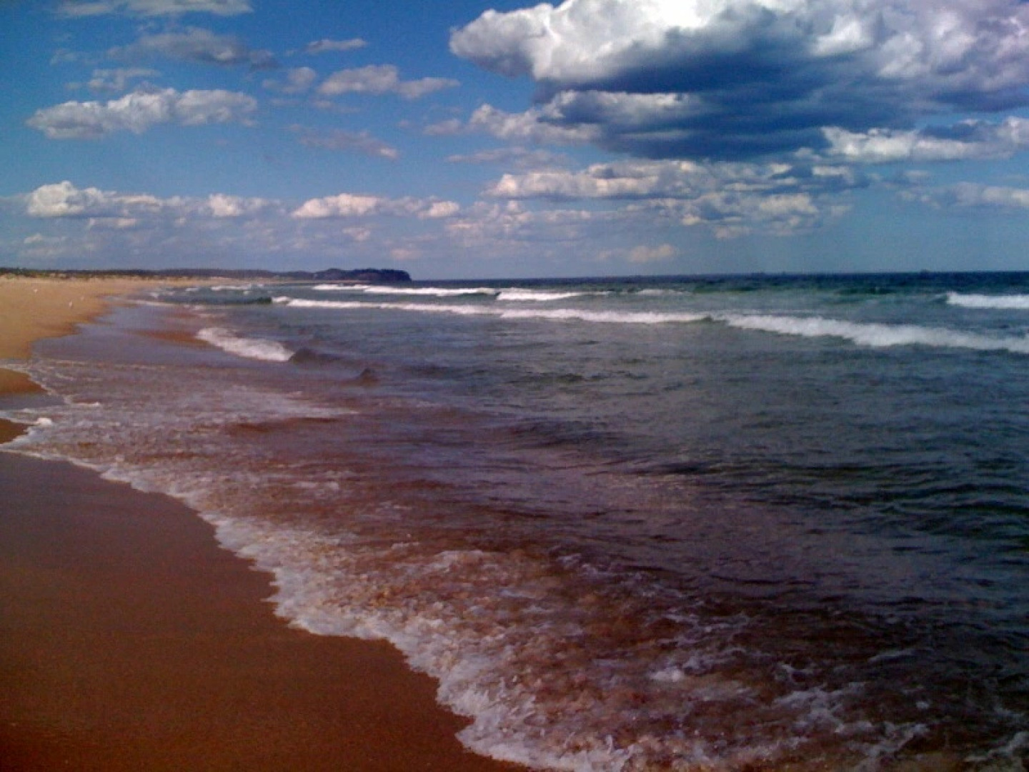 Aquarius Motel Belmont