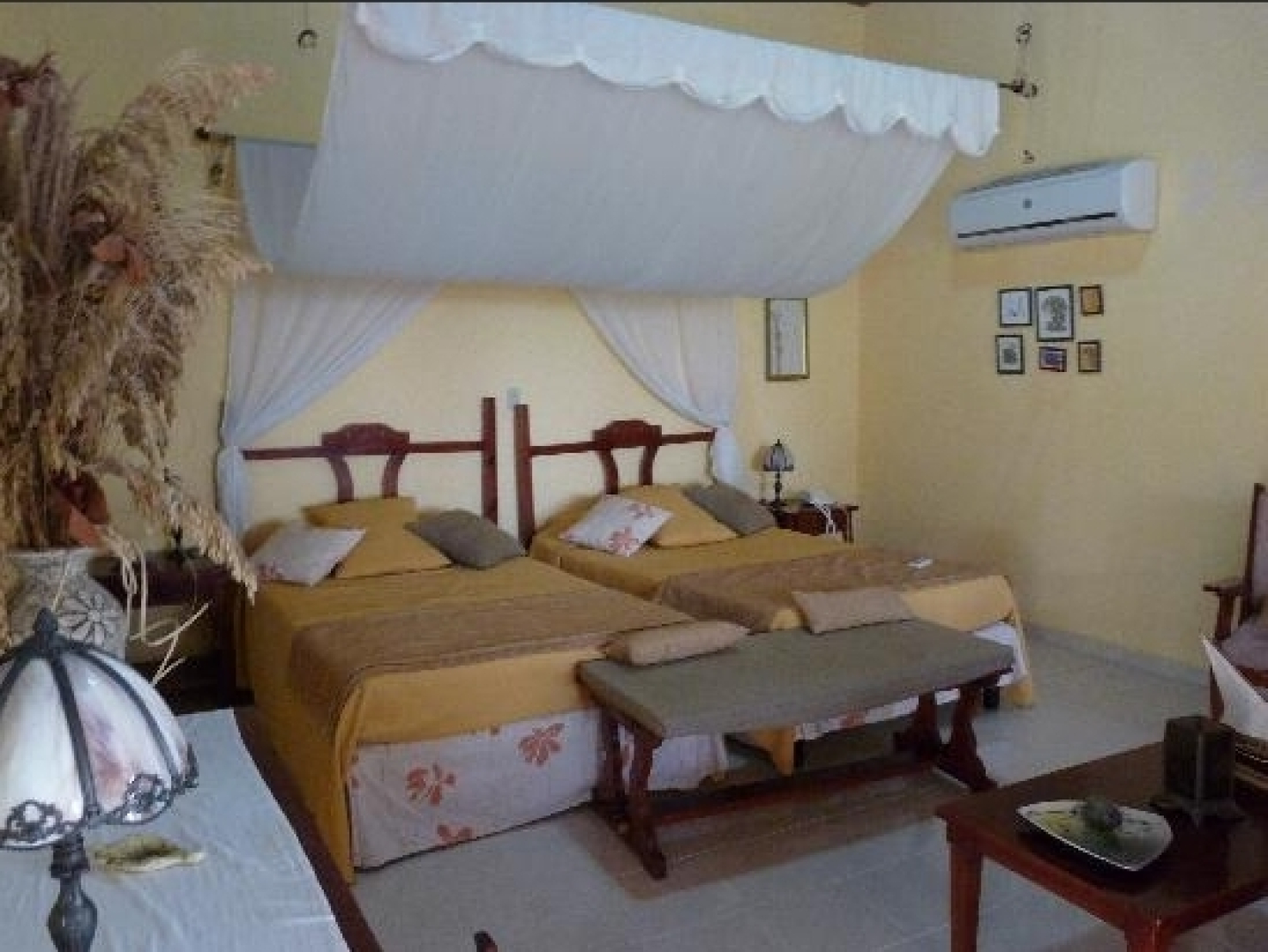 Horizontes Cayo Levisa