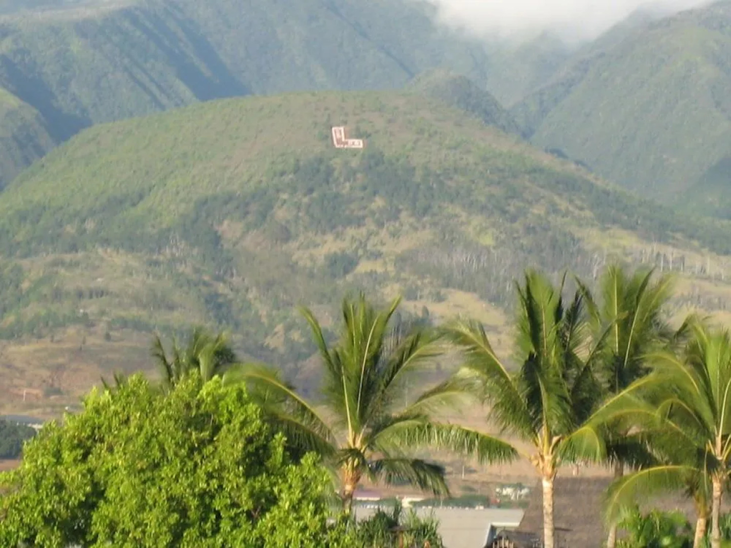 Kaleialoha #204 1 Bedroom 1 Bathroom Condo by Redawning