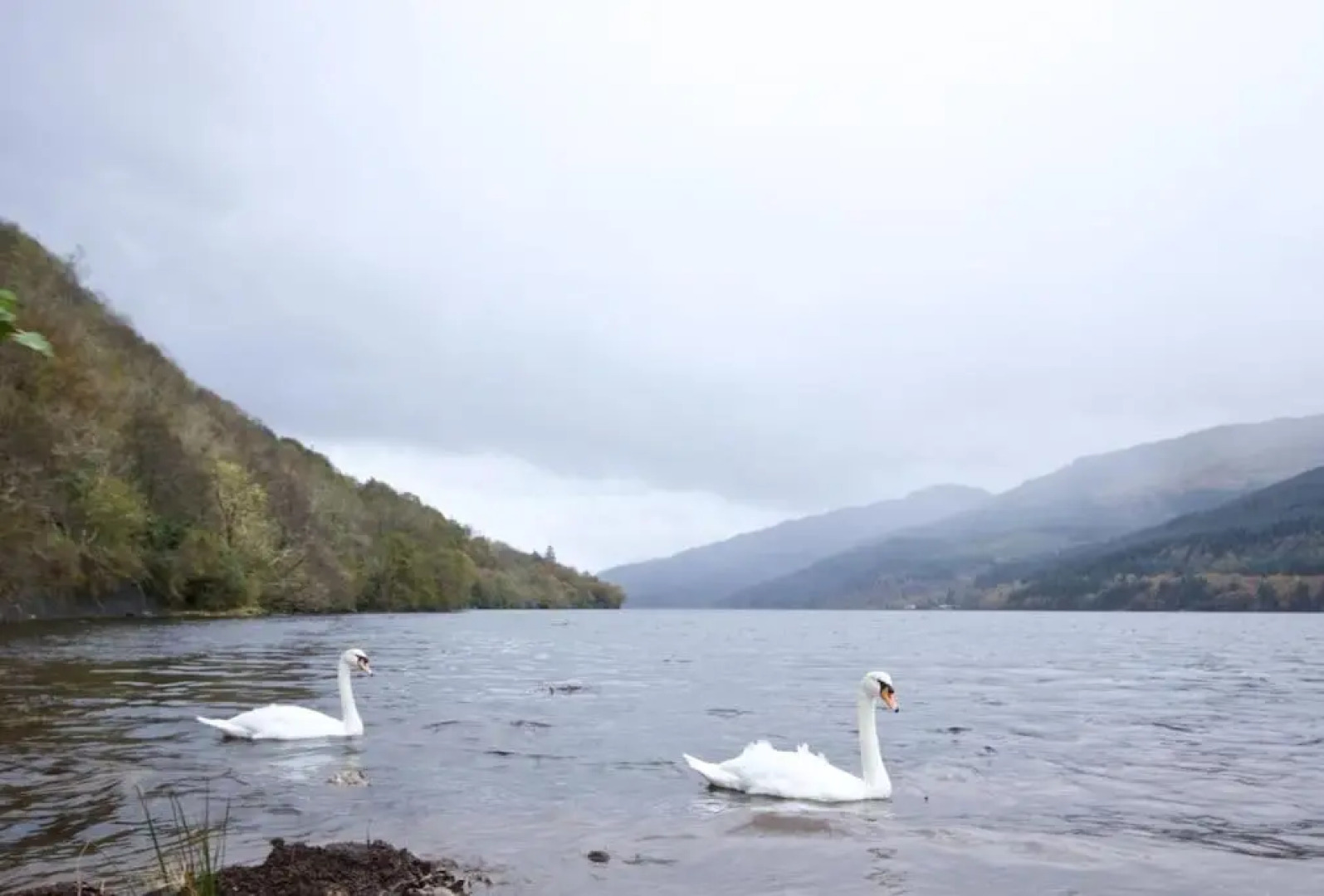 Rossmay House - 4 Bedroom Scottish Villa with waterfront / mountain views