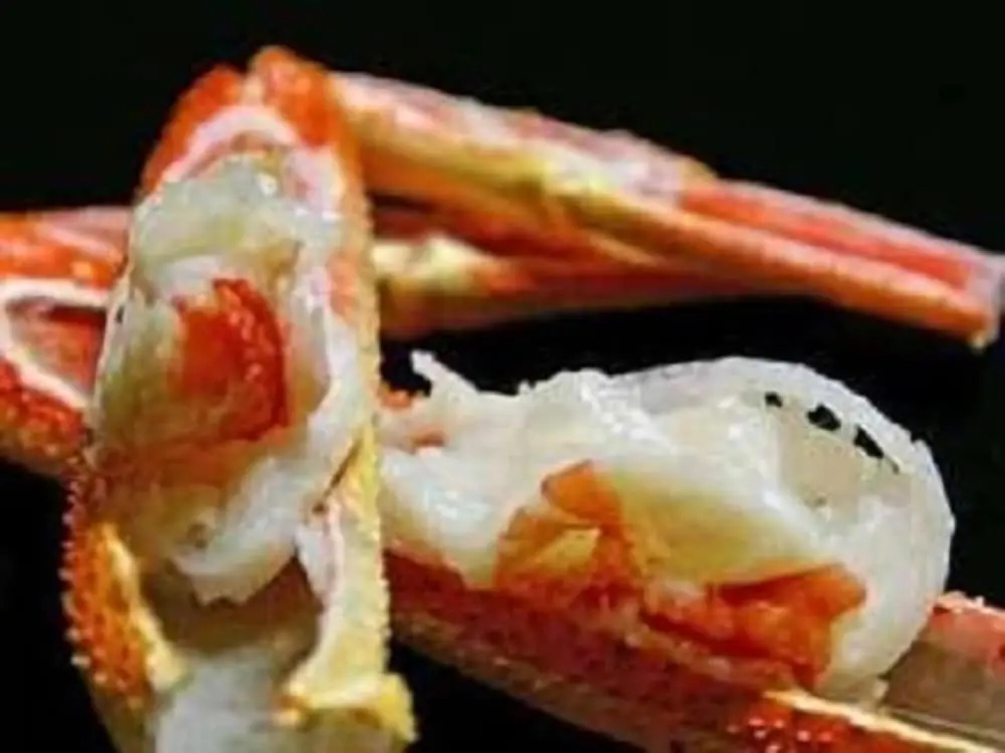 Kinosaki THE CRAB HOUSE KANIAN