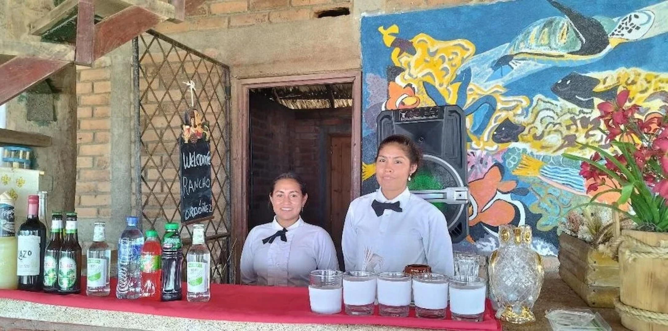 Hotel Villa Ordonez