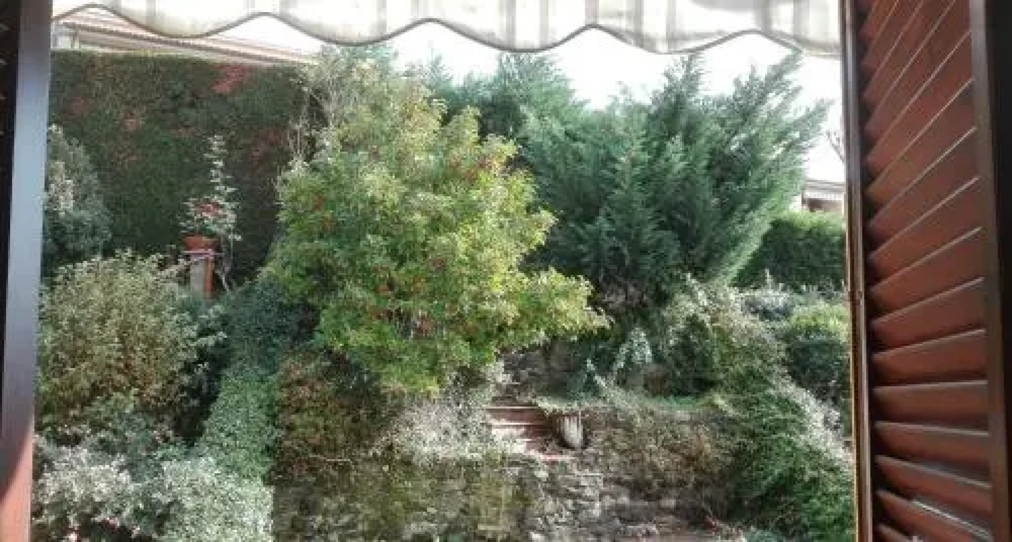 Gli Oleandri di Belfiore