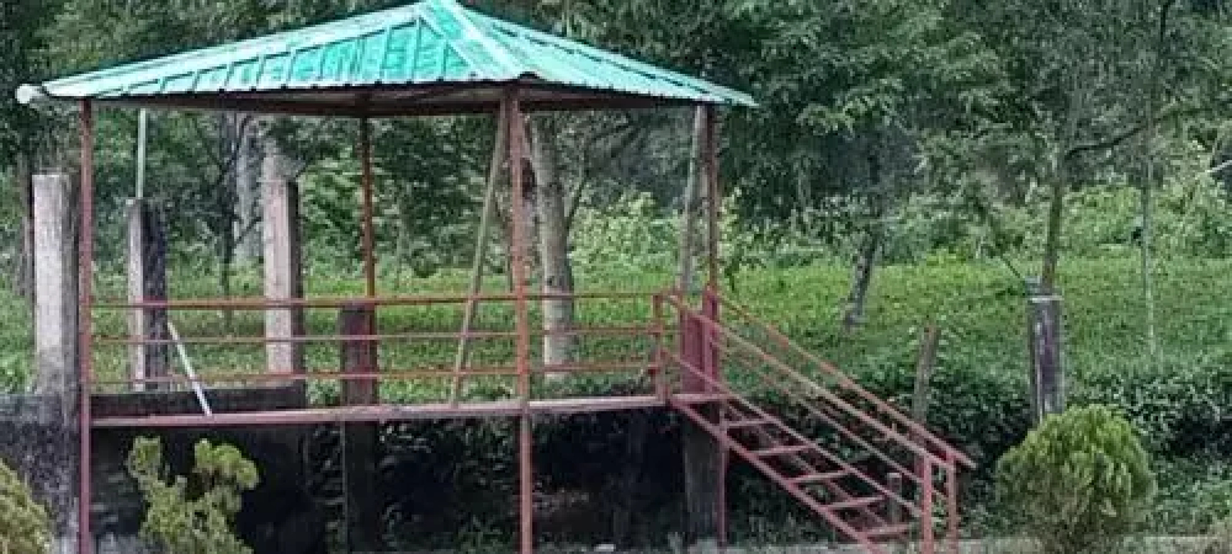 Homocation Kadambini Jungle Resort