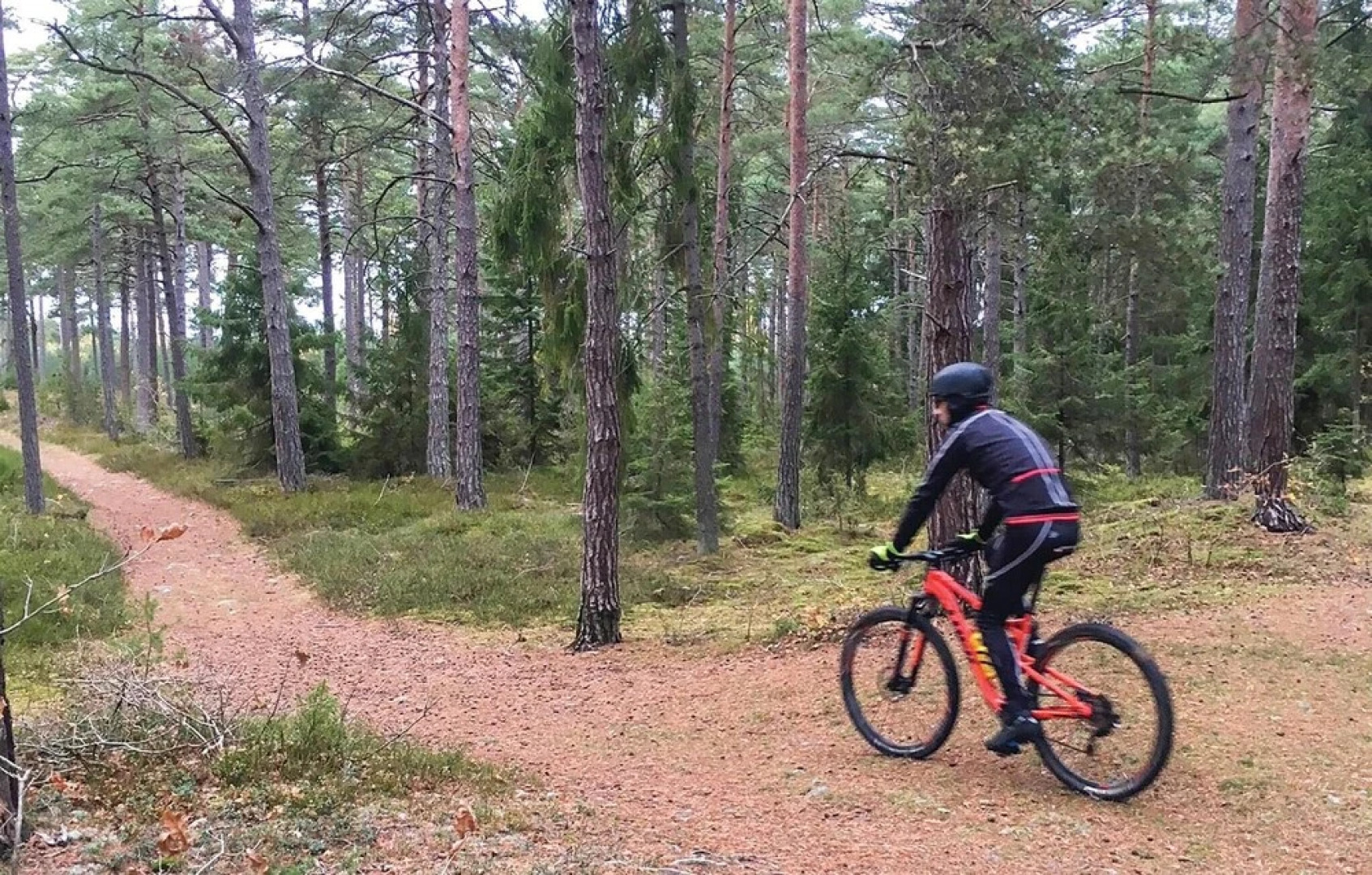 Beautiful Home in Rockneby With 4 Bedrooms and Wifi