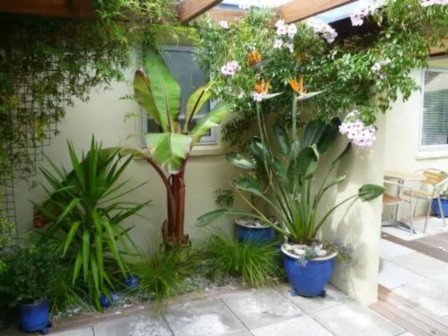 Wall Street Accommodation