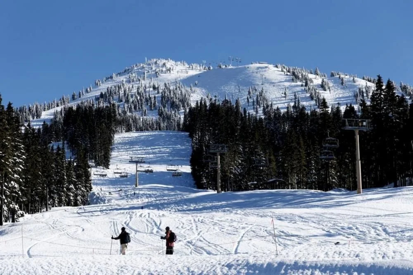 Timberline Chalet
