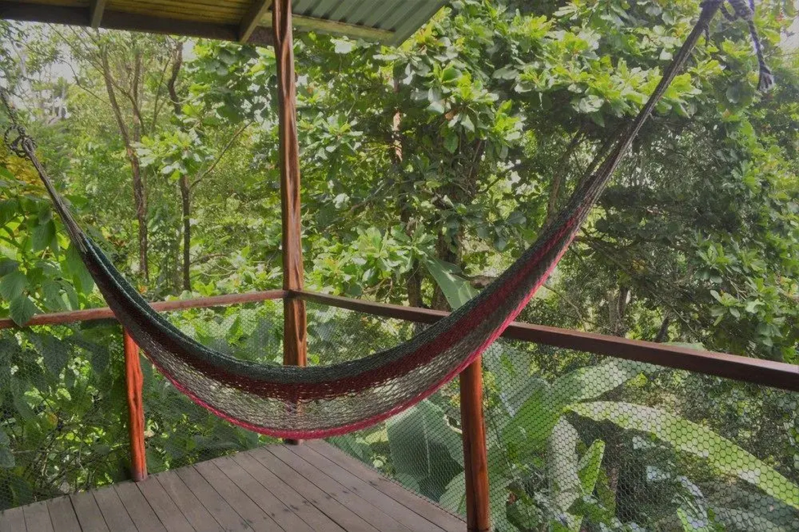 Lookout Inn Beach Rain forest Eco Lodge