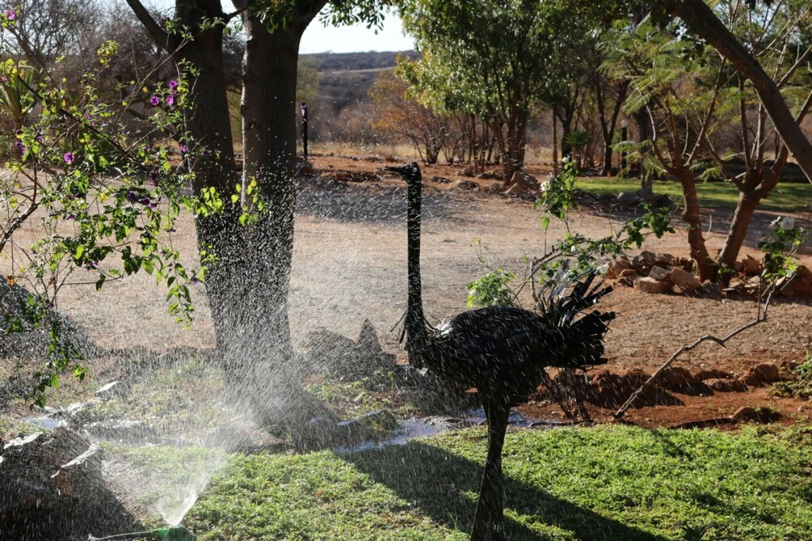 Ijaba Lodge