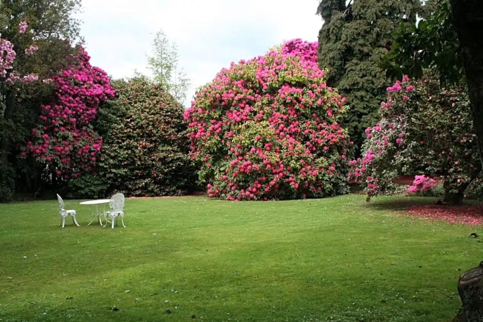 Anabel's of Scottsdale