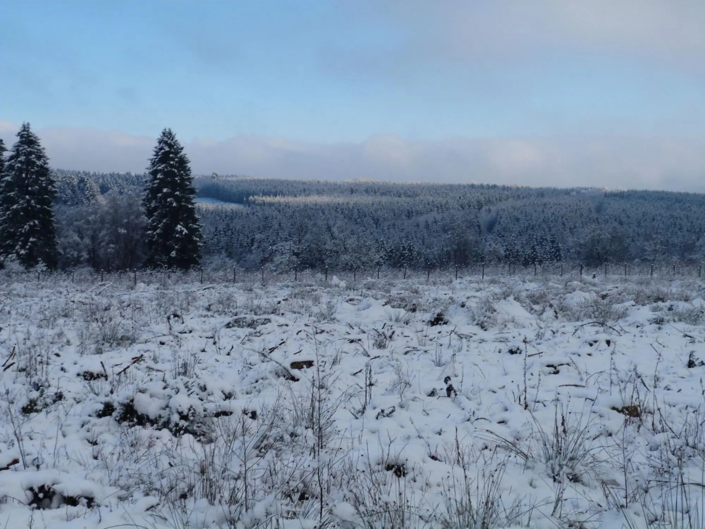 Cozy Chalet With Pond, Malmedy