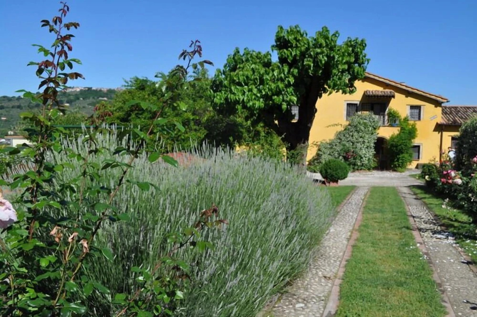 Agriturismo Il Gelso Nero