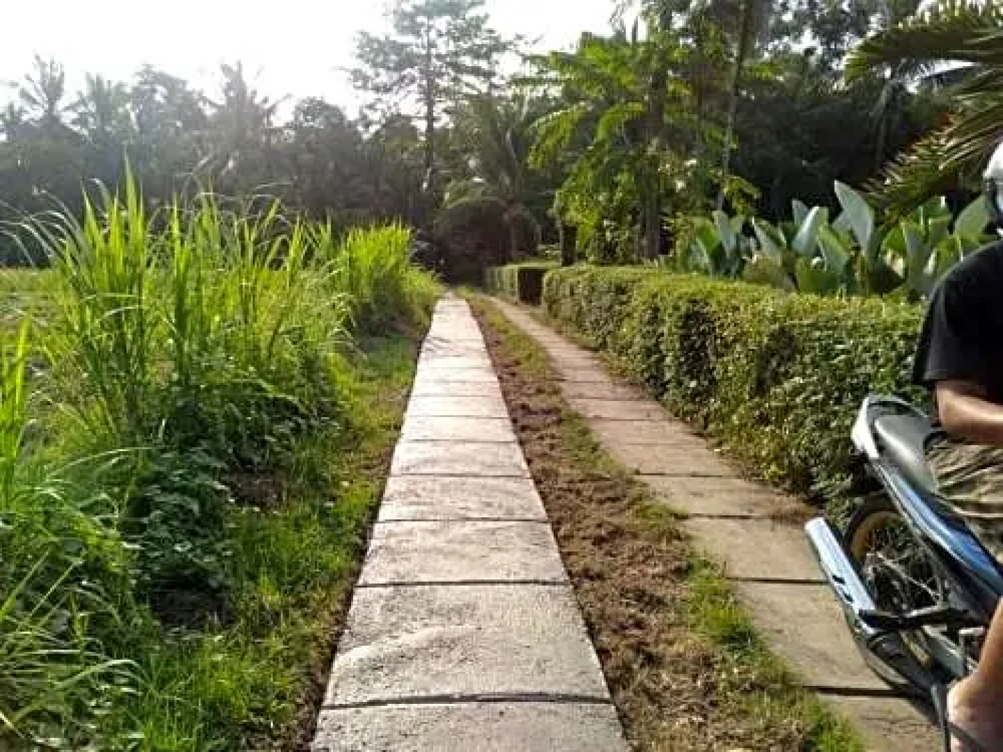 Balian Bliss Retreat Resort - Adults Only